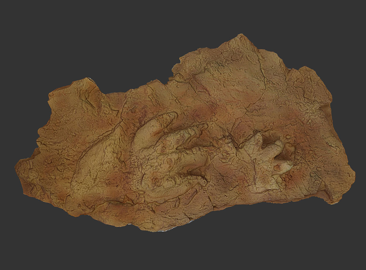 Huella nº 1 arcosaurio