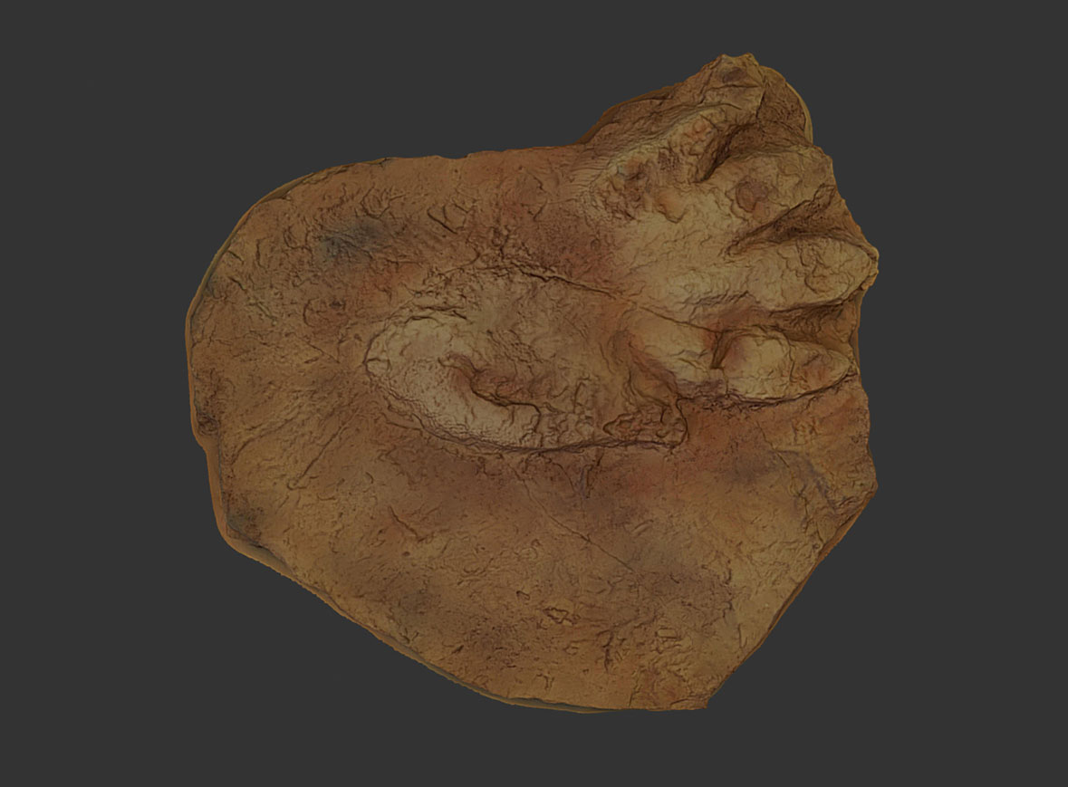 Huella nº 2 arcosaurio