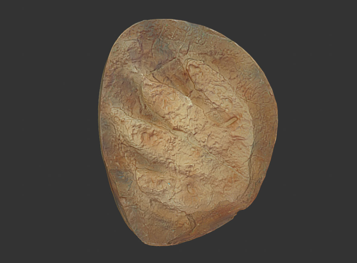 Huella nº 3 arcosaurio