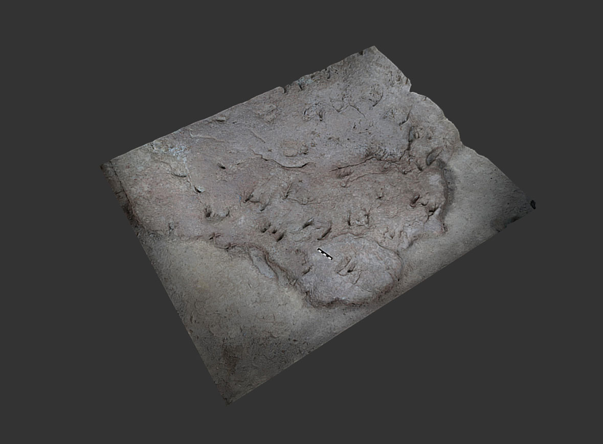 Huellas fósiles triásicas de seminatación