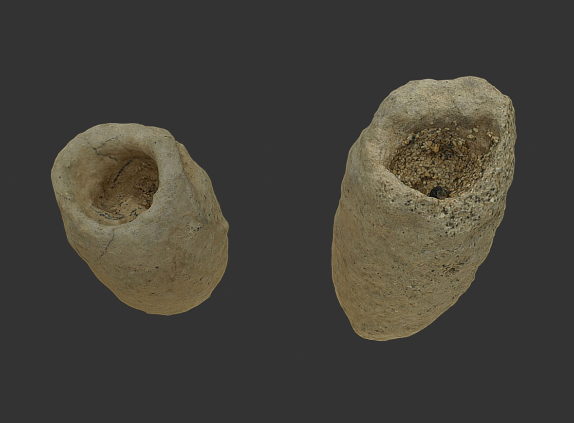 Nidos de abeja (Palmiraichnus castellanosi)